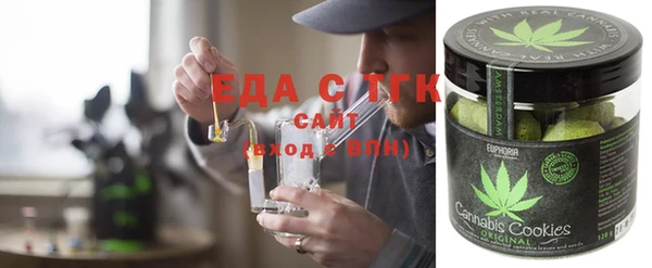 эйфоретик Няндома