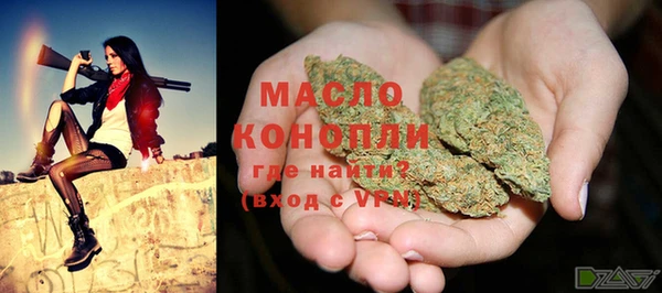индика Нязепетровск