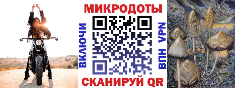 мега   купить   Рузаевка  Псилоцибиновые грибы MAGIC MUSHROOMS 